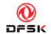 Logo_DFSk